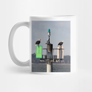 Bald Eagles Mug